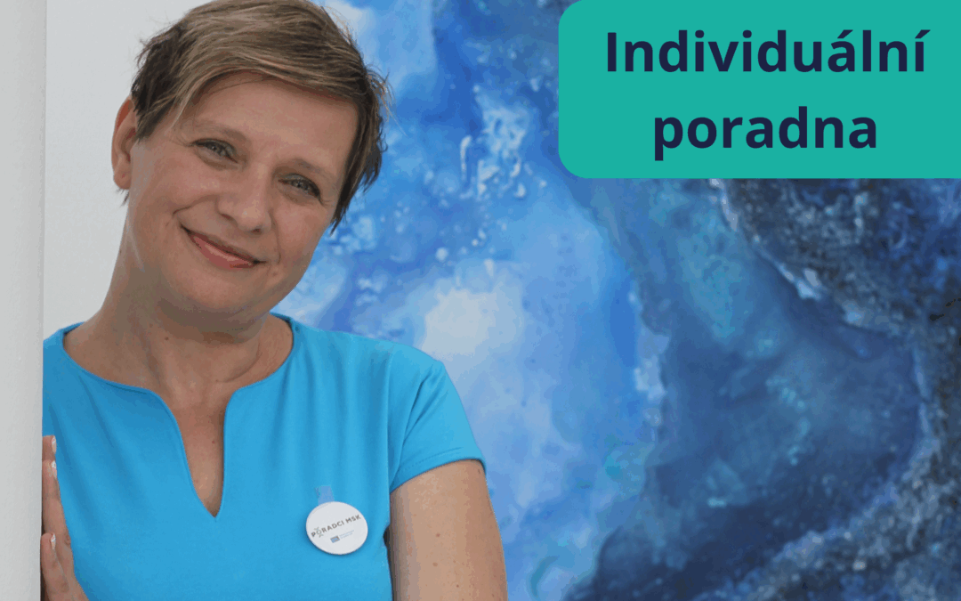 Individuální poradna